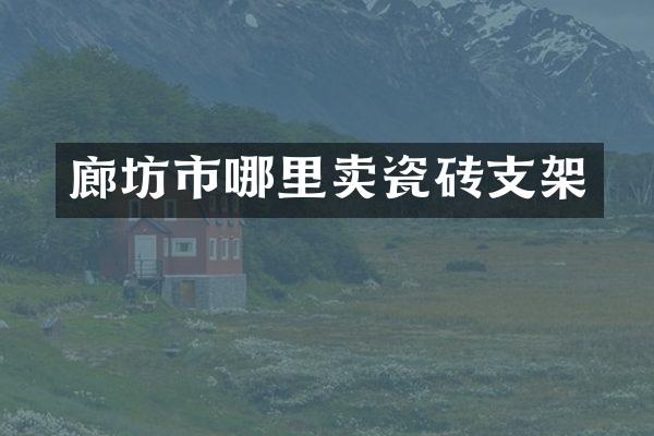 廊坊市哪里卖瓷砖支架