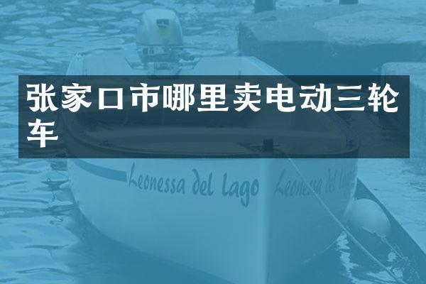 张家口市哪里卖电动三轮车