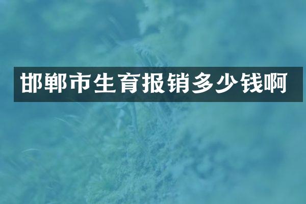 邯郸市生育报销多少钱啊