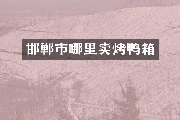邯郸市哪里卖烤鸭箱