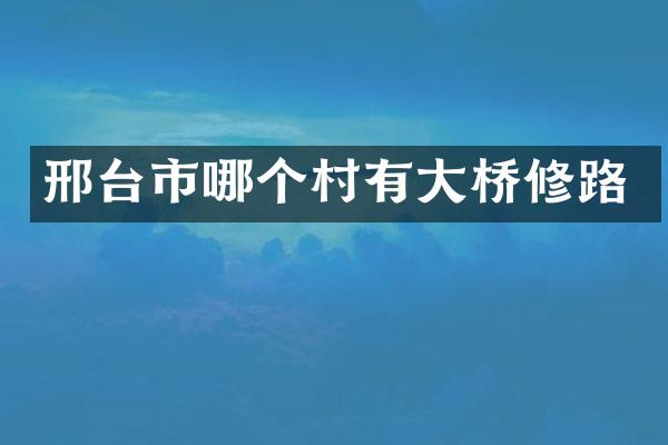 邢台市哪个村有大桥修路