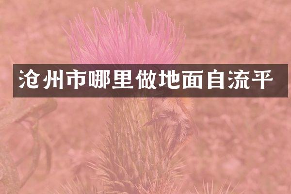 沧州市哪里做地面自流平