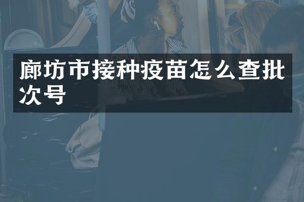 廊坊市接种疫苗怎么查批次号