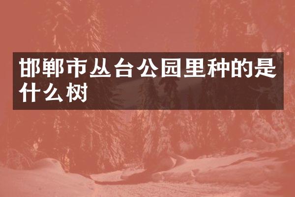 邯郸市丛台公园里种的是什么树