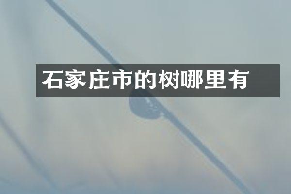 石家庄市的槡树哪里有