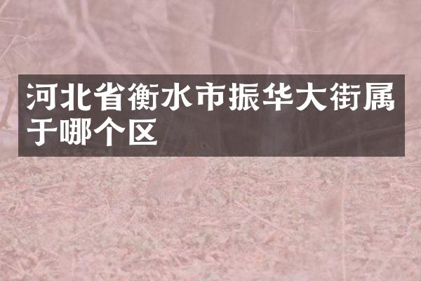 河北省衡水市振华大街属于哪个区