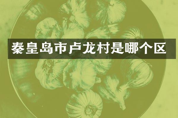 秦皇岛市卢龙村是哪个区