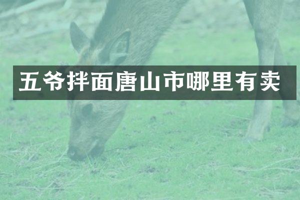 五爷拌面唐山市哪里有卖