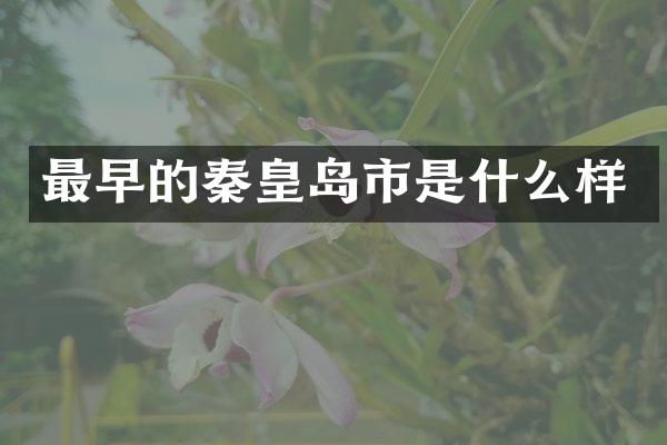 最早的秦皇岛市是什么样