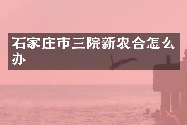 石家庄市三院新农合怎么办