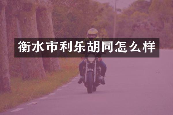 衡水市胡同怎么样