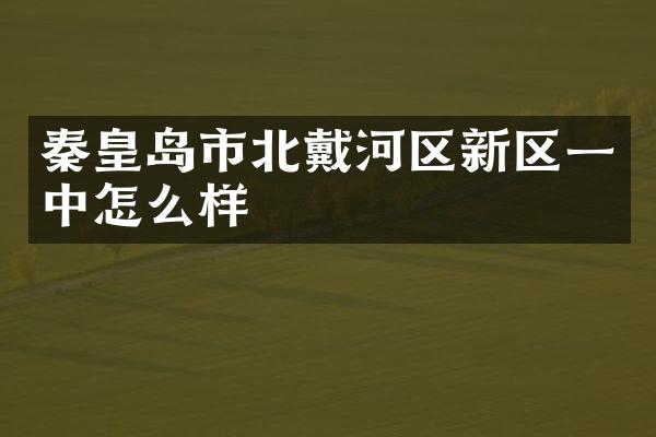 秦皇岛市北戴河区新区一中怎么样