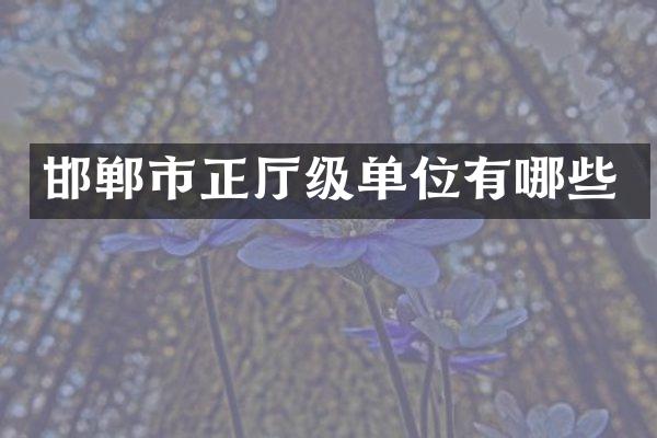 邯郸市正厅级单位有哪些