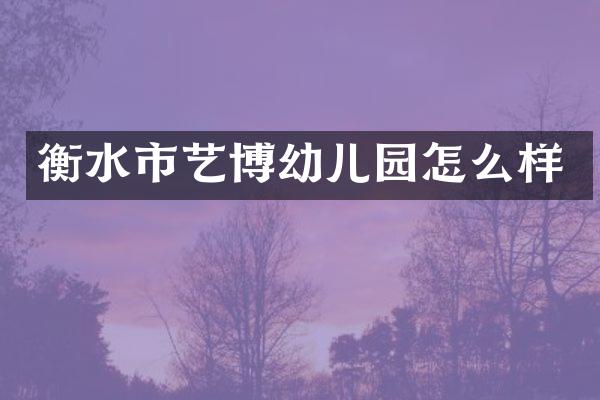 衡水市艺博幼儿园怎么样