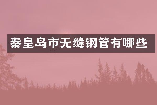 秦皇岛市无缝钢管有哪些