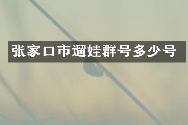 张家口市遛娃群号多少号