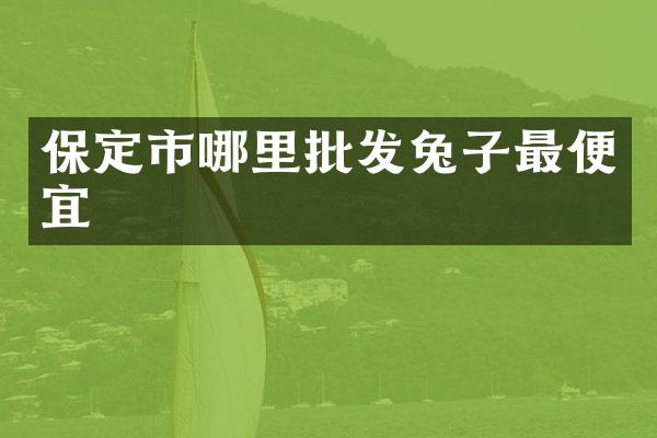 保定市哪里批发兔子