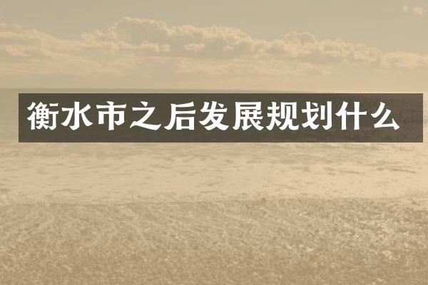 衡水市之后发展规划什么