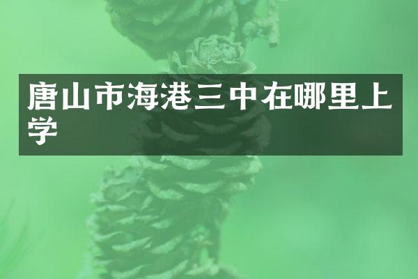 唐山市海港三中在哪里上学