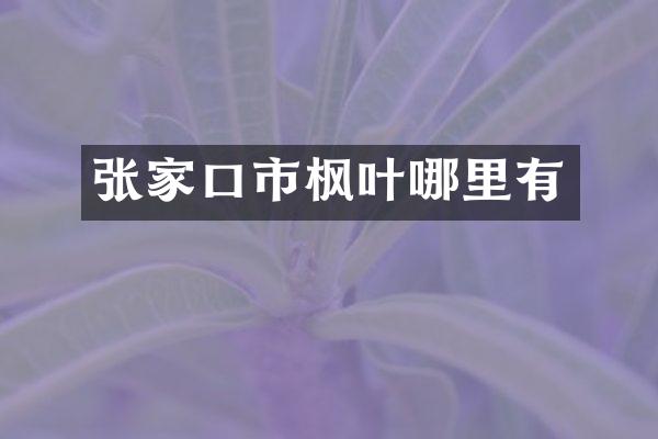 张家口市枫叶哪里有