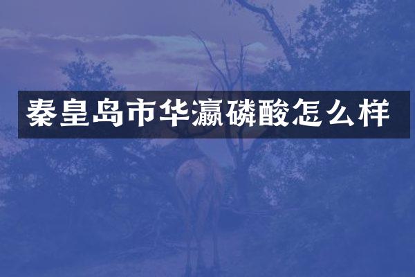 秦皇岛市华瀛磷酸怎么样