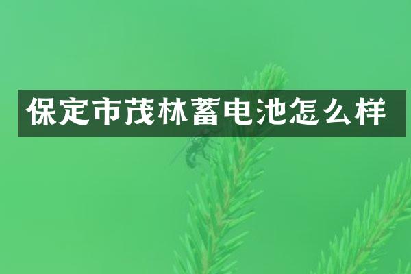 保定市茂林蓄电池怎么样