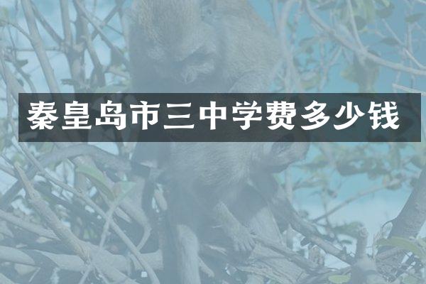 秦皇岛市三中学费多少钱