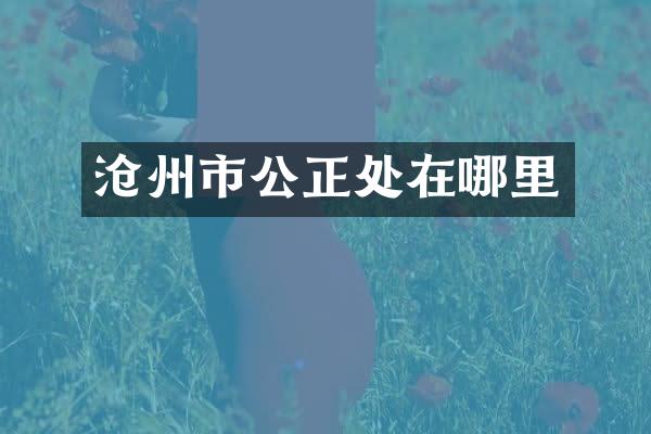 沧州市公正处在哪里