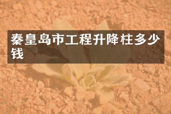 秦皇岛市工程升降柱多少钱