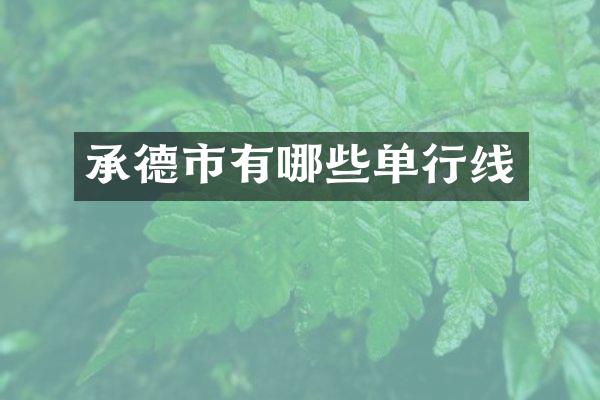 承德市有哪些单行线