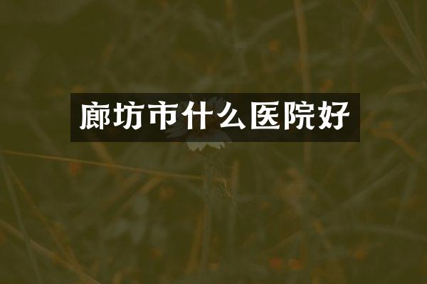廊坊市什么医院好