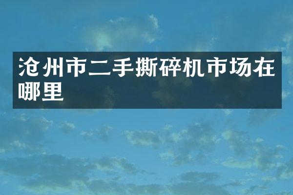 沧州市二手撕碎机市场在哪里