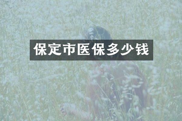 保定市医保多少钱