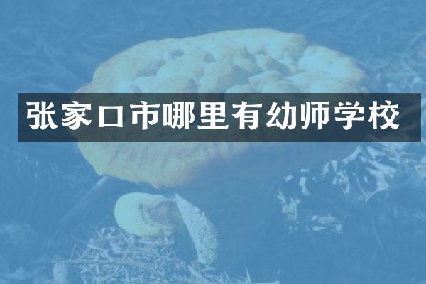 张家口市哪里有幼师学校