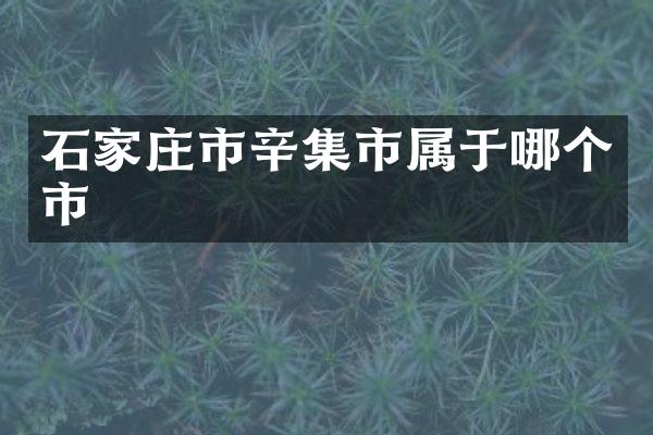 石家庄市辛集市属于哪个市