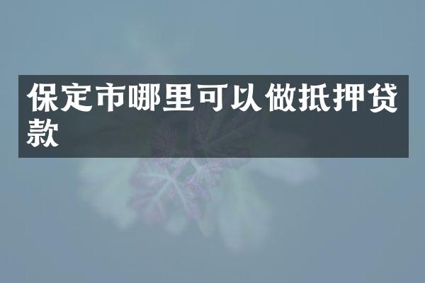 保定市哪里可以做抵押贷款