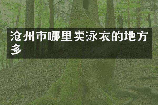 沧州市哪里卖泳衣的地方多