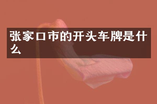 张家口市的开头车牌是什么