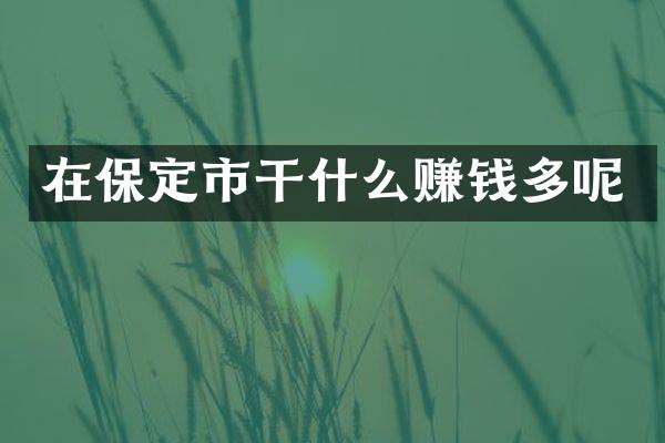 在保定市干什么赚钱多呢
