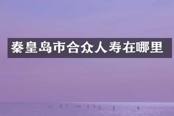 秦皇岛市合众人寿在哪里