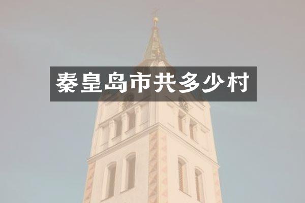 秦皇岛市共多少村