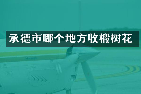 承德市哪个地方收椴树花