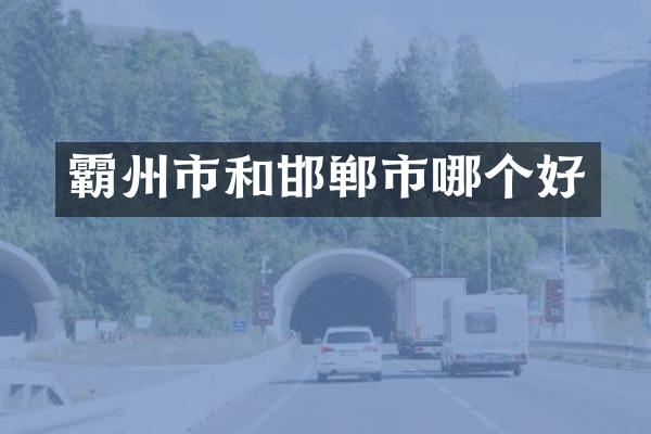 霸州市和邯郸市哪个好