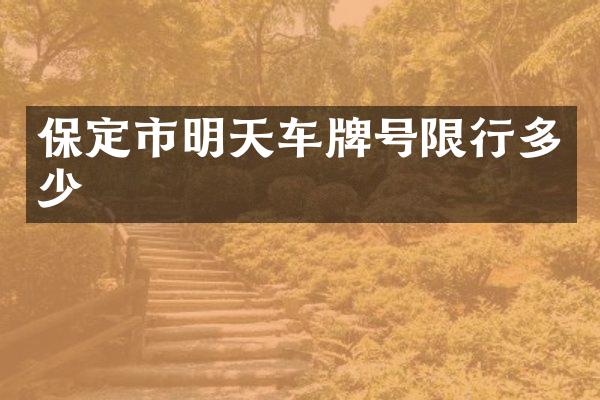 保定市明天车牌号限行多少