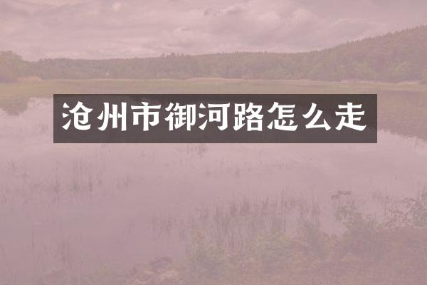 沧州市御河路怎么走