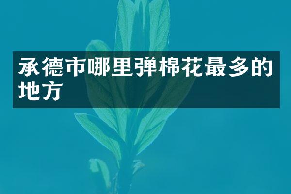承德市哪里弹棉花最多的地方