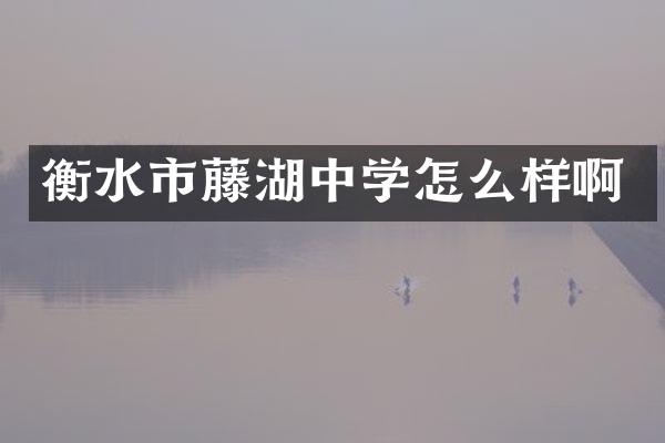 衡水市藤湖中学怎么样啊