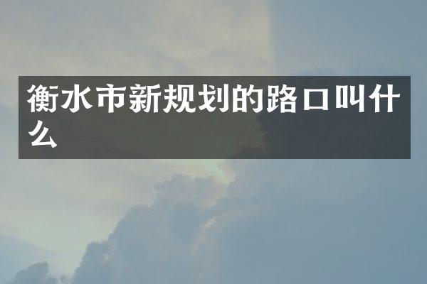 衡水市新规划的路口叫什么