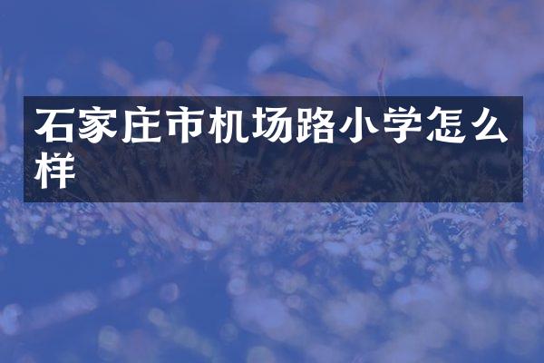 石家庄市机场路小学怎么样