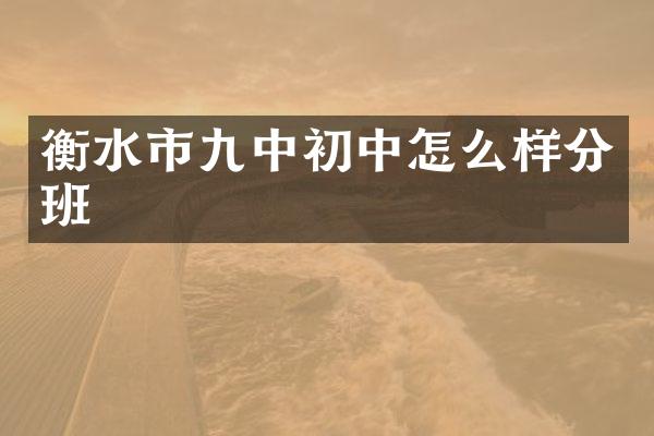 衡水市九中初中怎么样分班